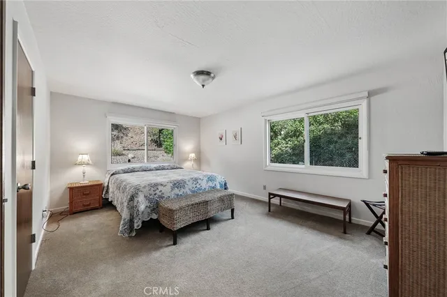 a bedroom with a bed a chair and potted plant on the dresser