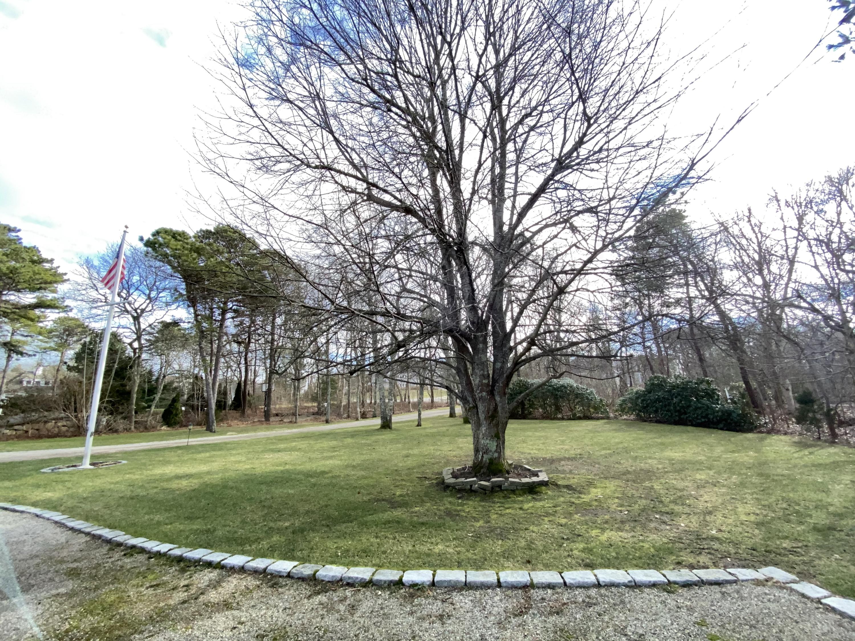 294 Cairn Ridge Road East Falmouth, MA 02536 - Photo 11 of 29 a view of a yard with a house
