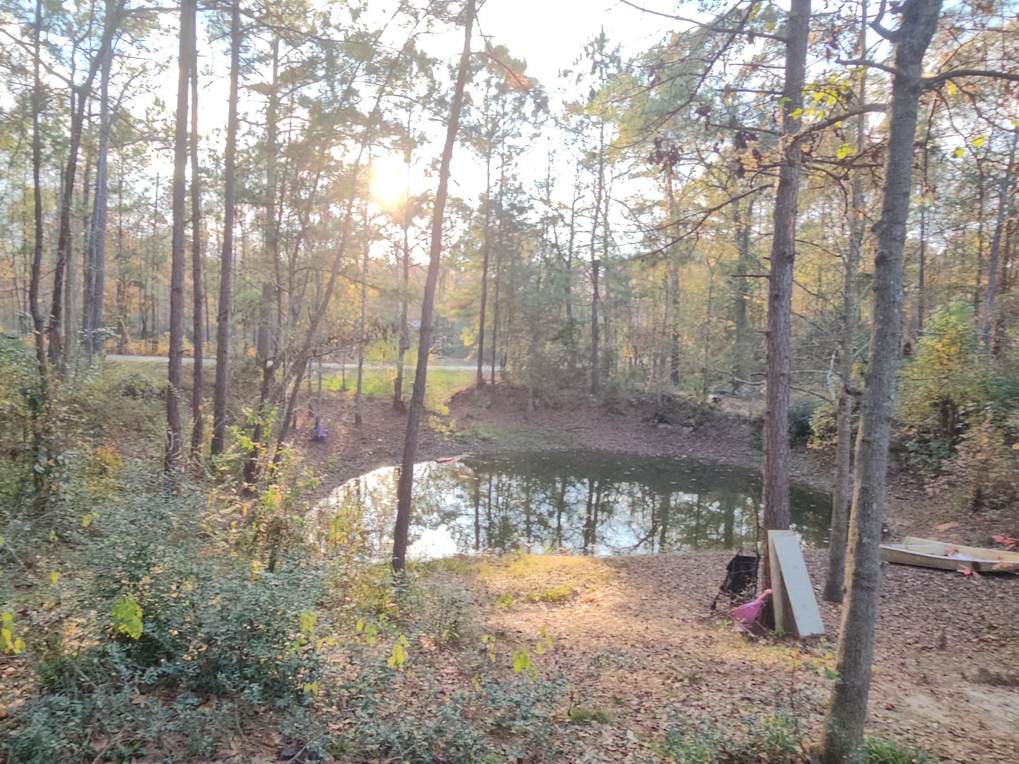 11814 Megan Road Conroe, TX 77303 - Photo 6 of 10 a view of a yard with a tree