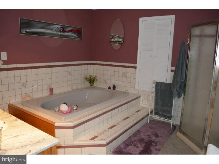 301 Fretz Road Telford, PA 18969 - Photo 10 of 15 Master Bathroom