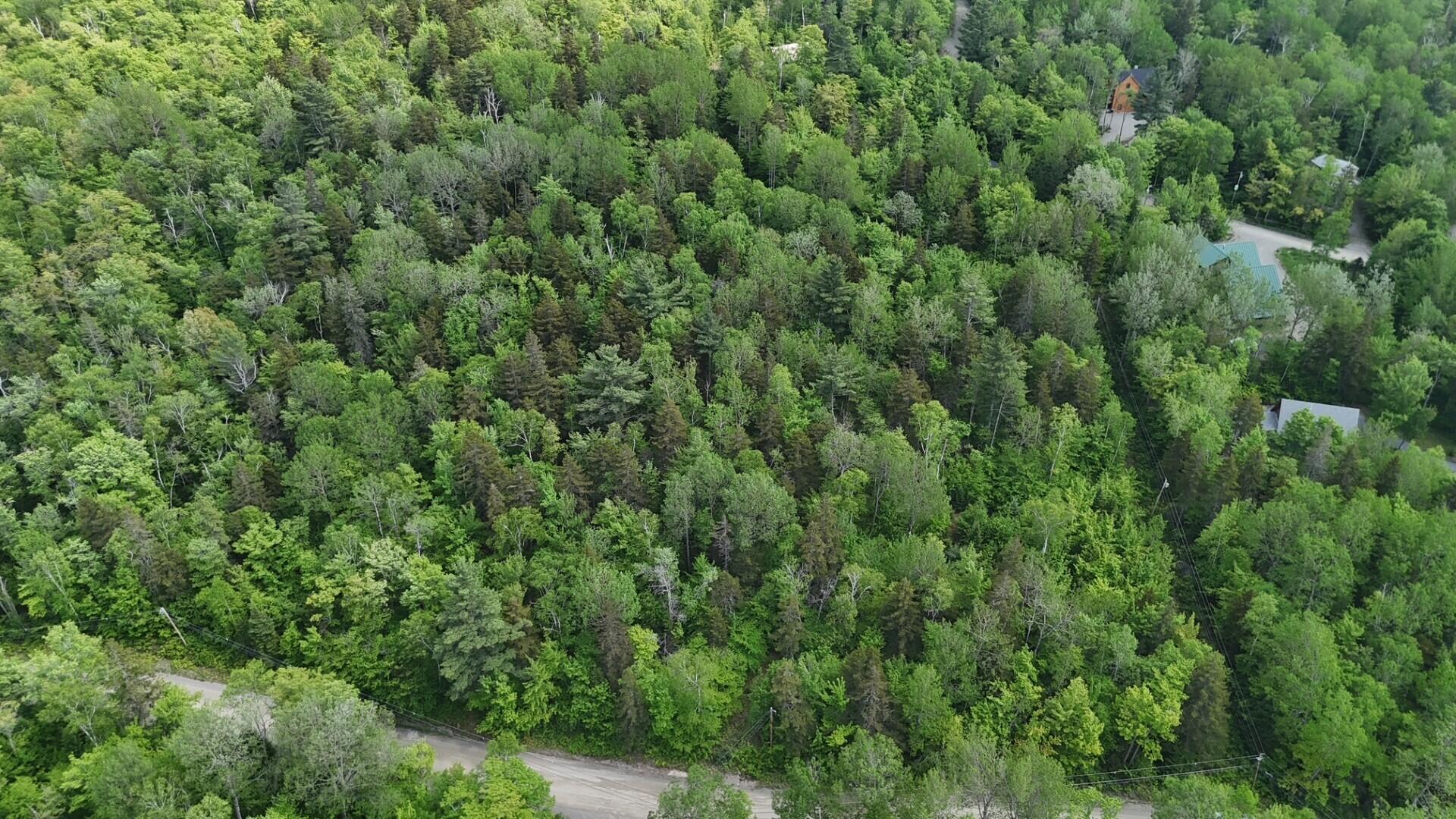 2008 Deer Hill Road Carrabassett Valley, ME 04947 - Photo 2 of 4 Lot Photo 1