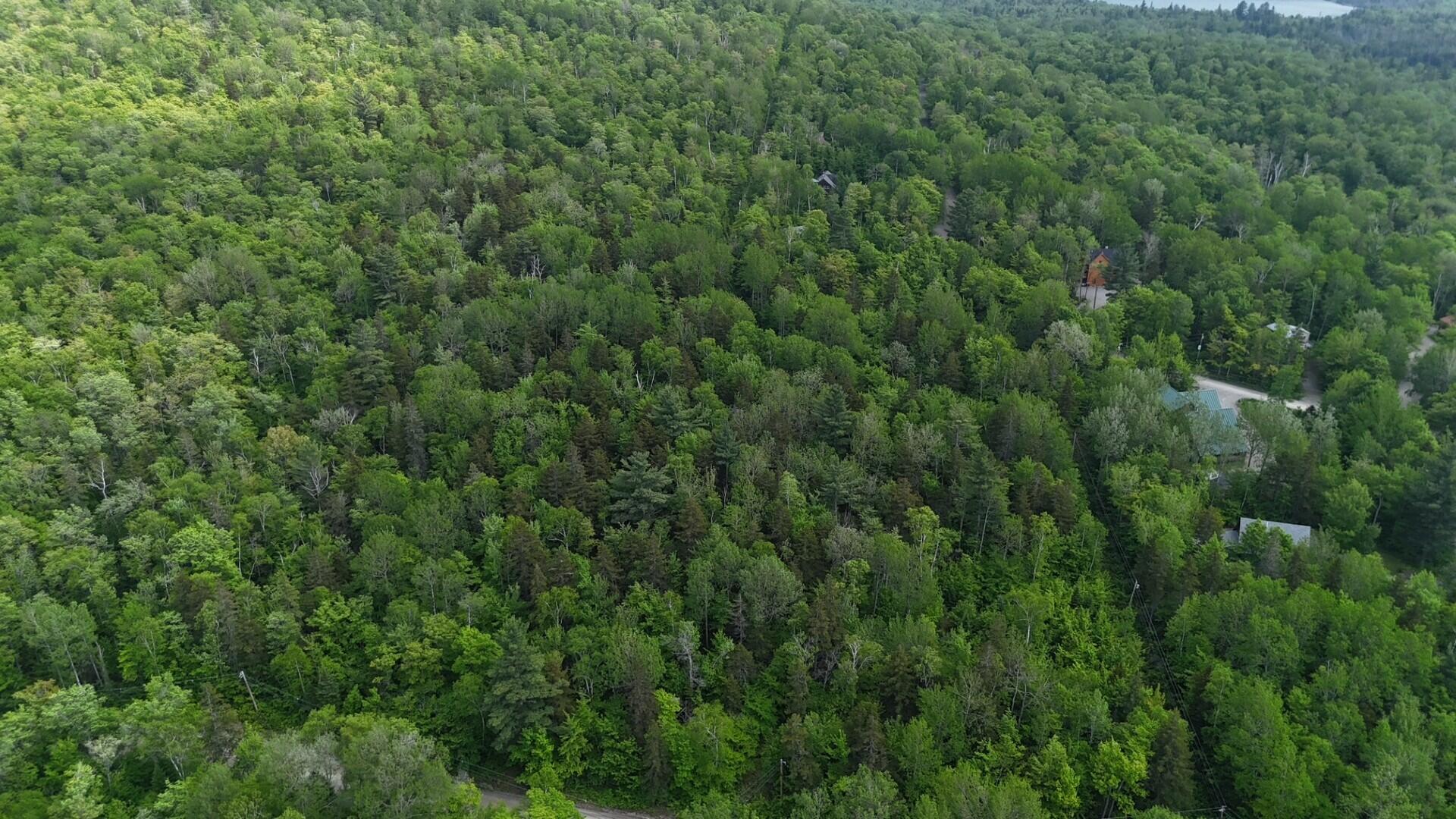 2008 Deer Hill Road Carrabassett Valley, ME 04947 - Photo 3 of 4 Lot Photo 2