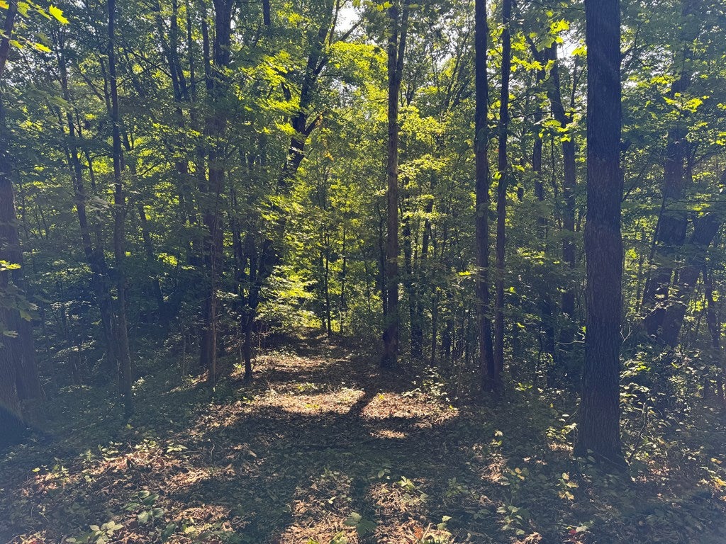 1667 Bandy Road, Unit 62 63A Cedar Bluff, VA 24609 - Photo 10 of 25 Gallery Image 10