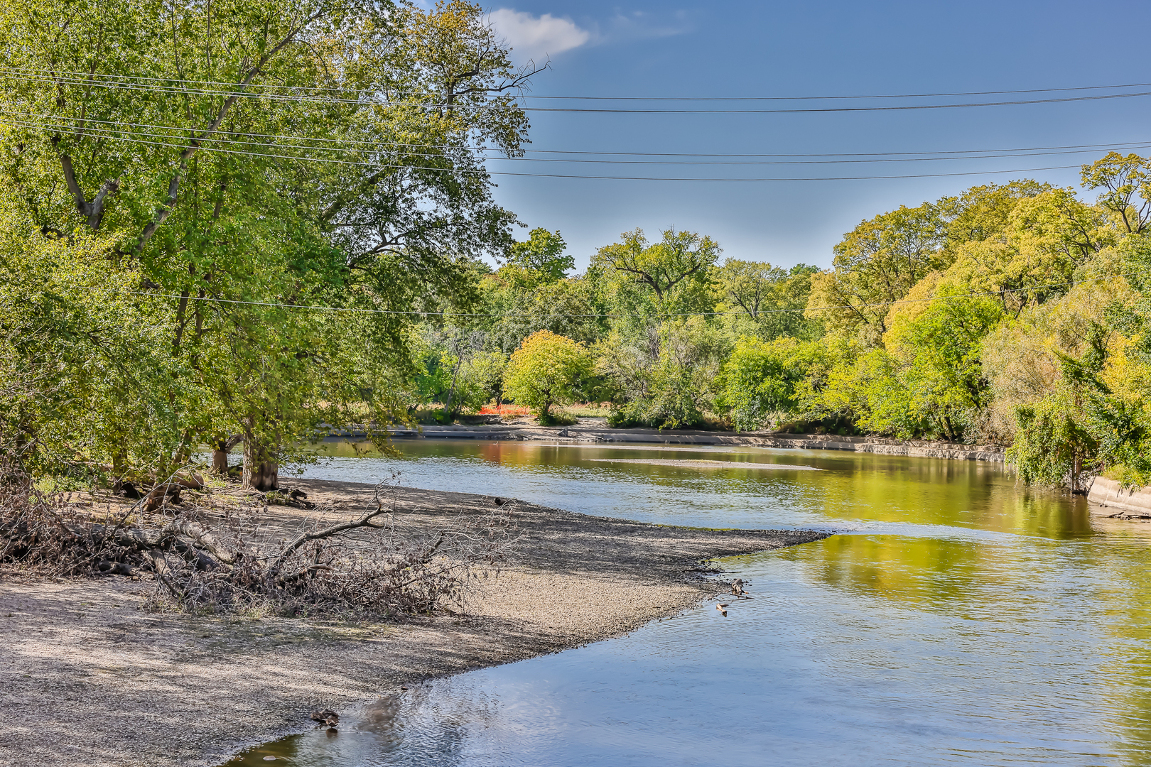 297 Gage Road Riverside, IL 60546 - Photo 49 of 55