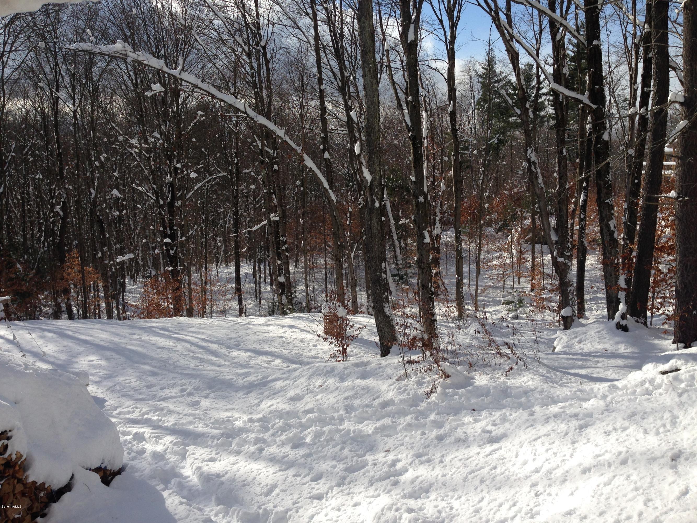 170 Leland Road Becket, MA 01223 - Photo 2 of 59 a view of outdoor space with trees