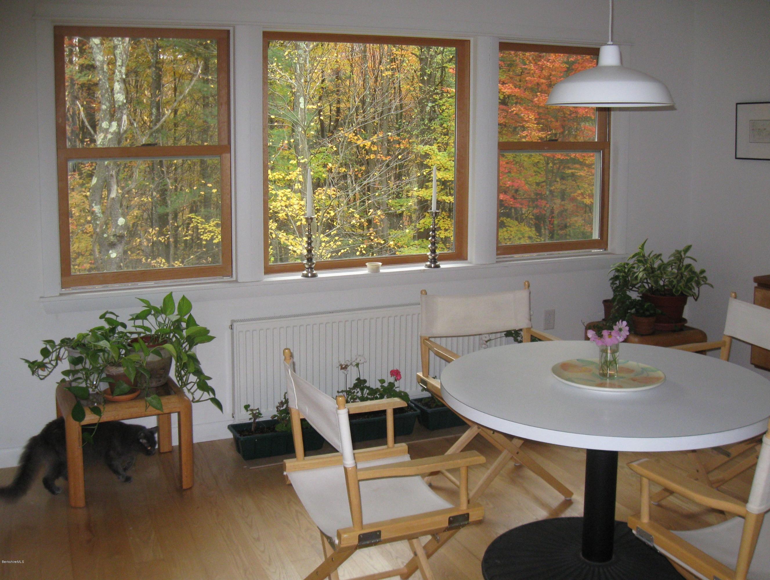 170 Leland Road Becket, MA 01223 - Photo 17 of 59 a living room with furniture and a potted plant