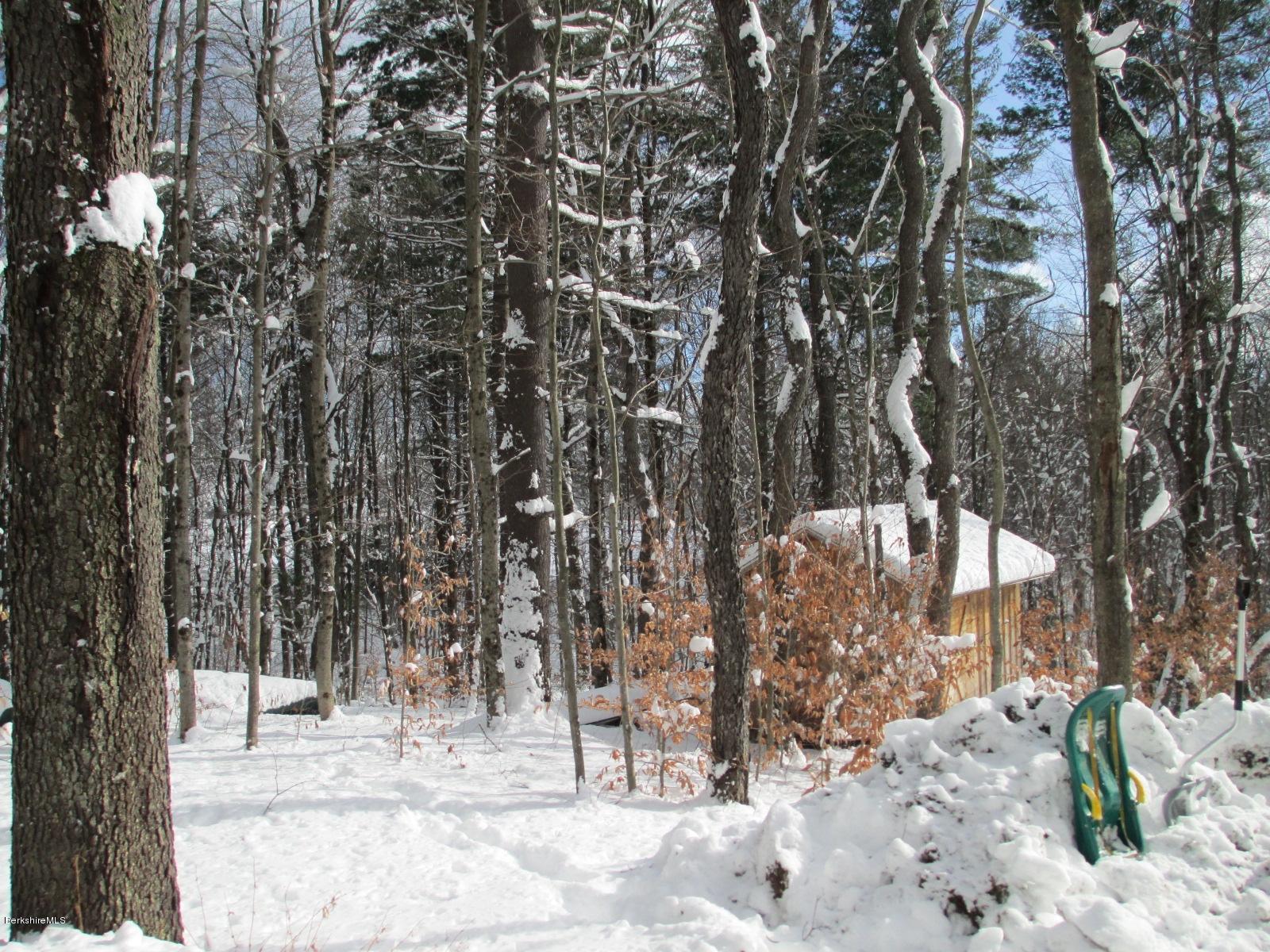 170 Leland Road Becket, MA 01223 - Photo 3 of 59 a view of a yard covered in snow