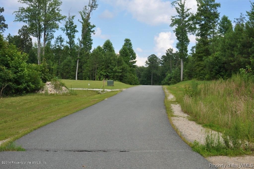 10115 Old Stage Road Toano, VA 23168 - Photo 2 of 9 Gallery Image 2