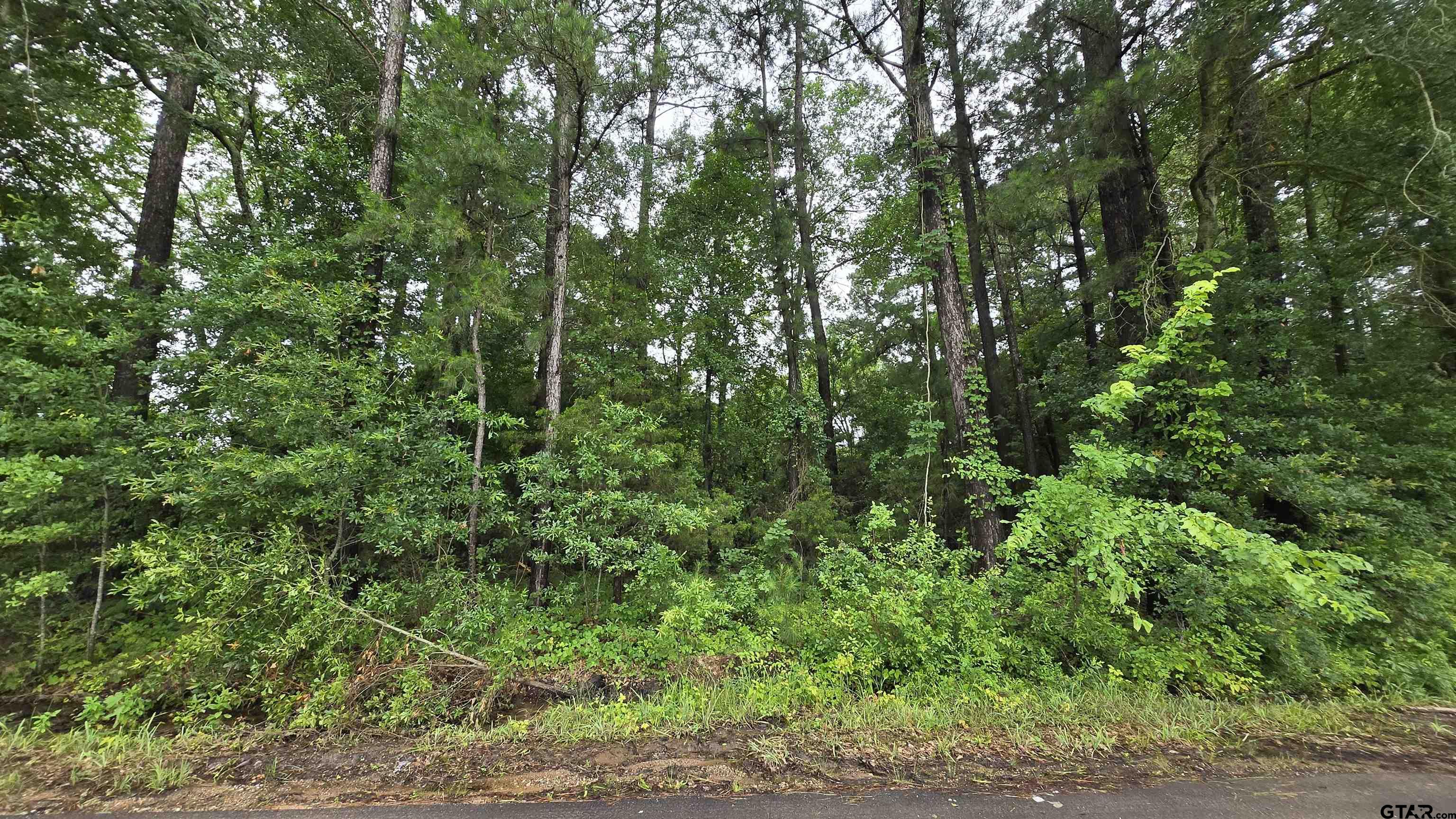 169 Chelsea Lane Bullard, TX 75757 - Photo 1 of 4