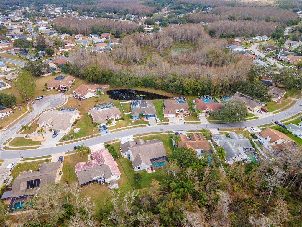 9722 Hermosillo Drive New Port Richey, FL 34655 - Photo 53 of 58 Gallery Image 53