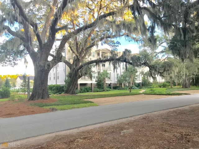 a view of a yard with large trees