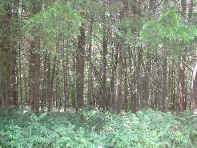14 Cedar Point Road Mount Eden, KY 40046 - Photo 1 of 1 Primary Photo