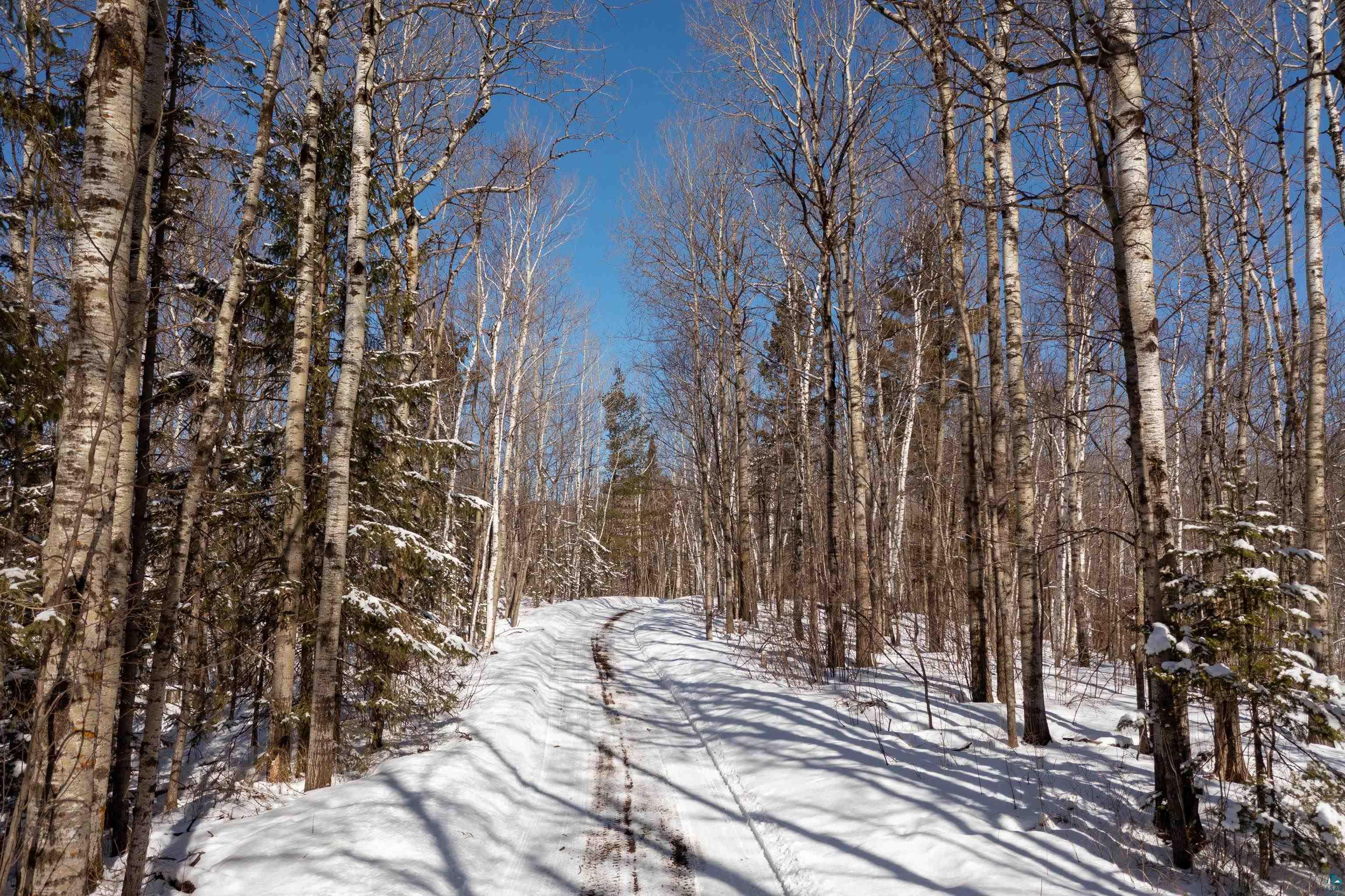 5947 East St Louis River Road Proctor, MN 55810 - Photo 40 of 47 Yard covered in snow featuring a forest view