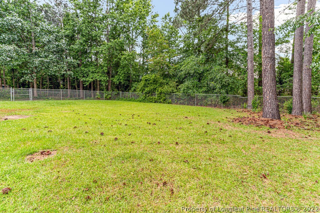 495 Sawyer Road Cameron, NC 28326 - Photo 29 of 33 a view of a yard with a trees