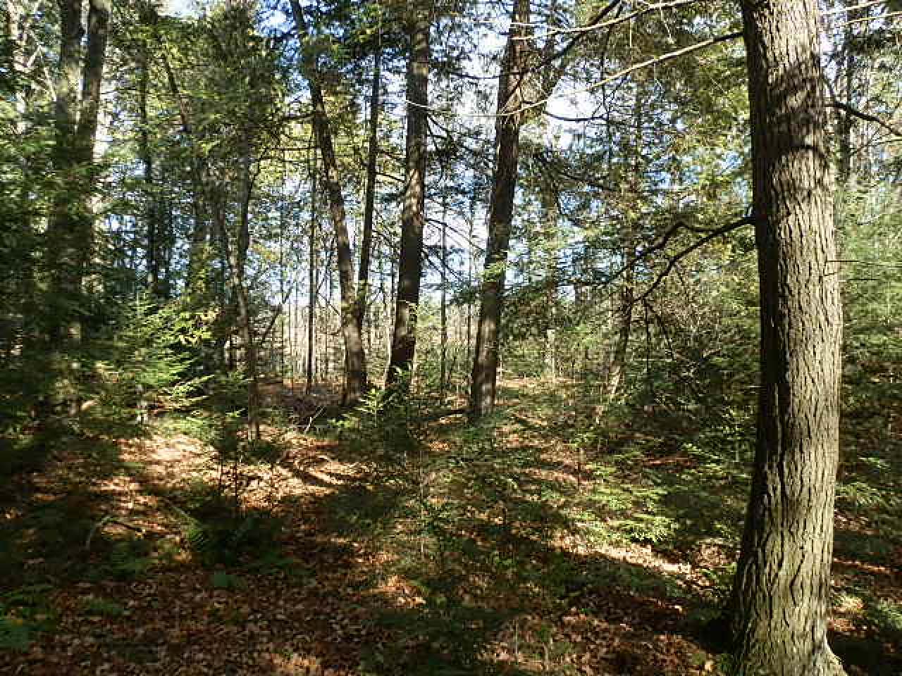 On Gerber Road Park Falls, WI 54552 - Photo 10 of 12 Gallery Image 10