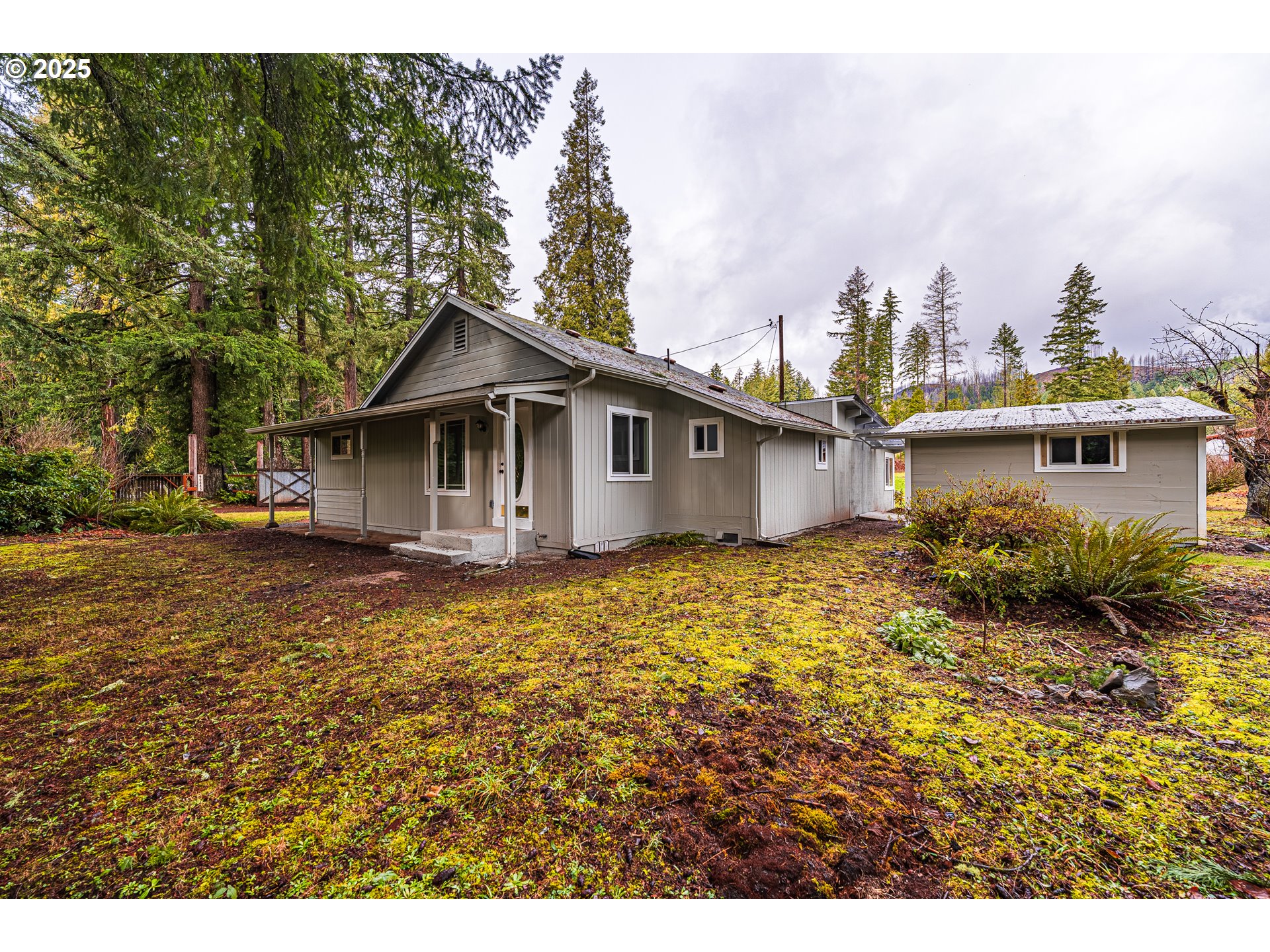 90885 Angels Flight Road Walterville, OR 97489 - Photo 18 of 30 Gallery Image 18