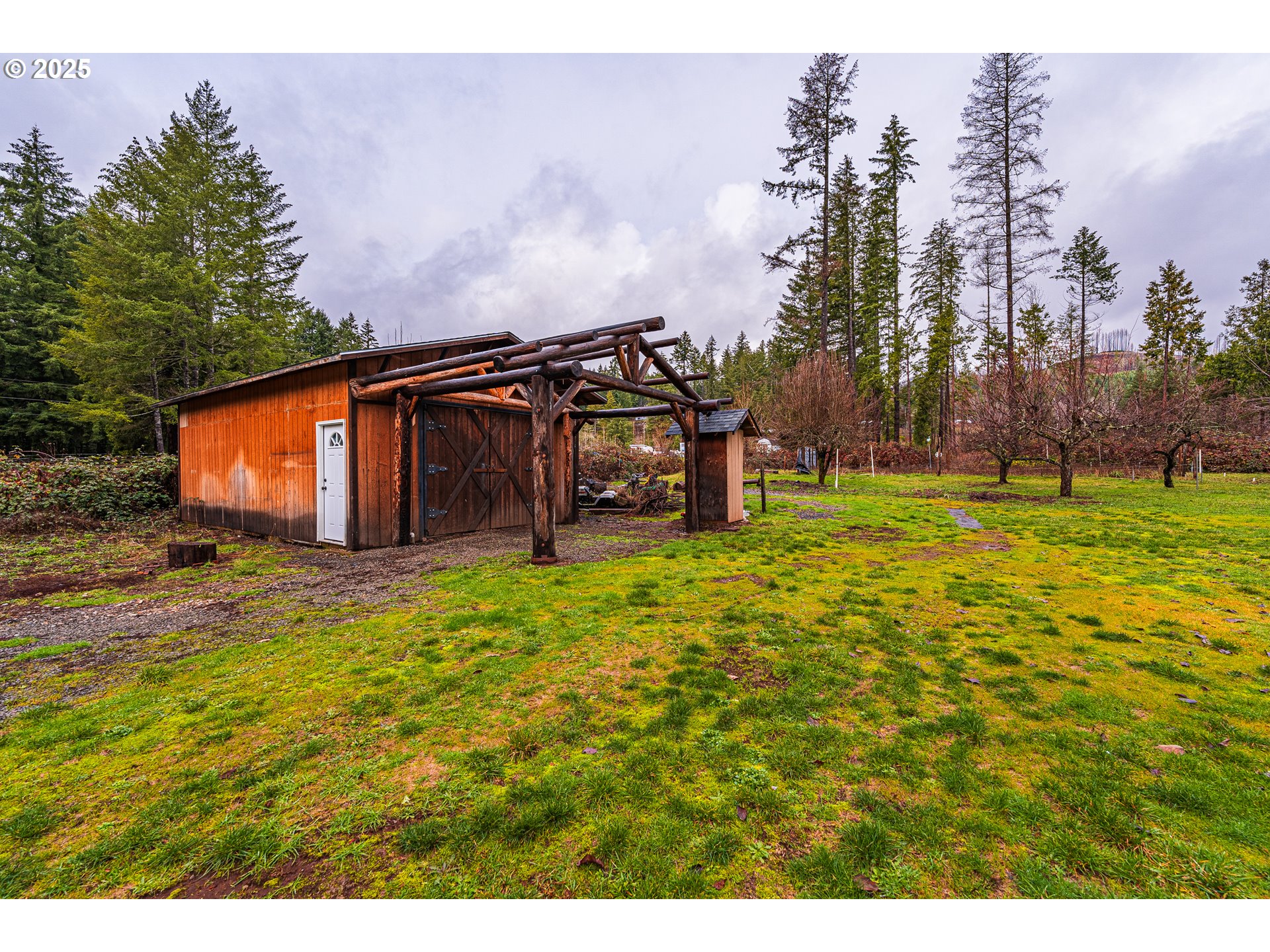 90885 Angels Flight Road Walterville, OR 97489 - Photo 22 of 30 Gallery Image 22
