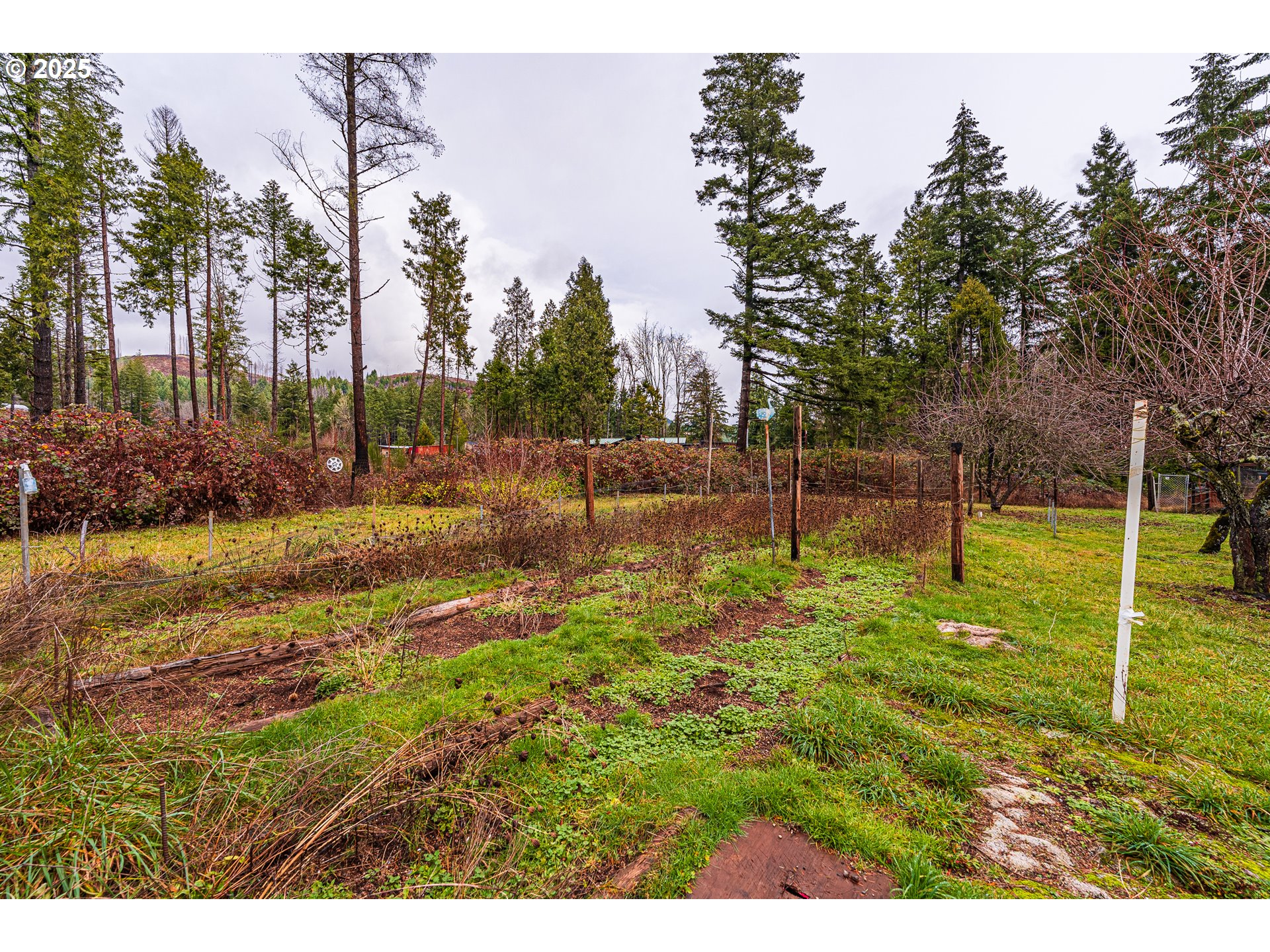 90885 Angels Flight Road Walterville, OR 97489 - Photo 23 of 30 Gallery Image 23