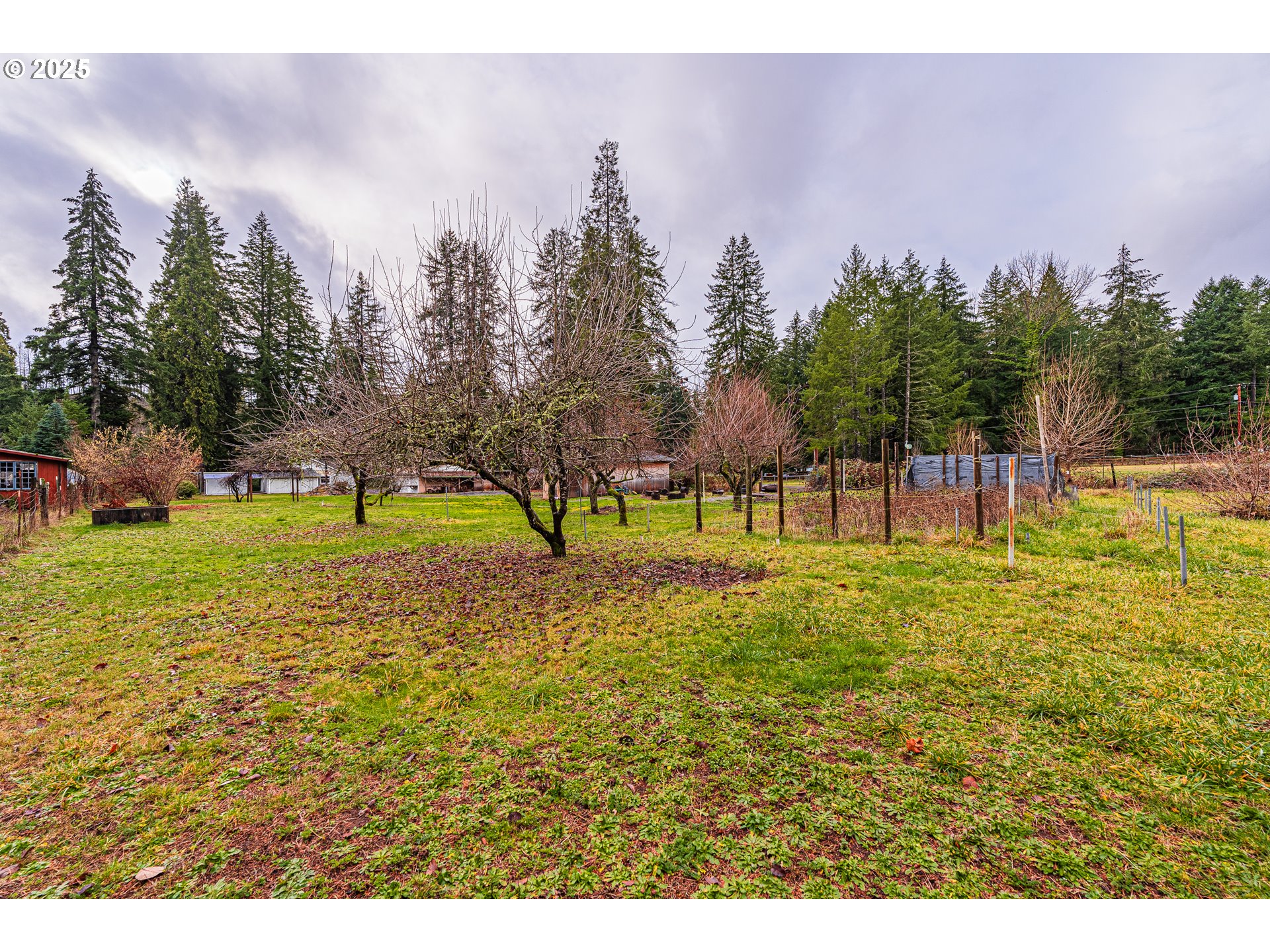 90885 Angels Flight Road Walterville, OR 97489 - Photo 25 of 30 Gallery Image 25