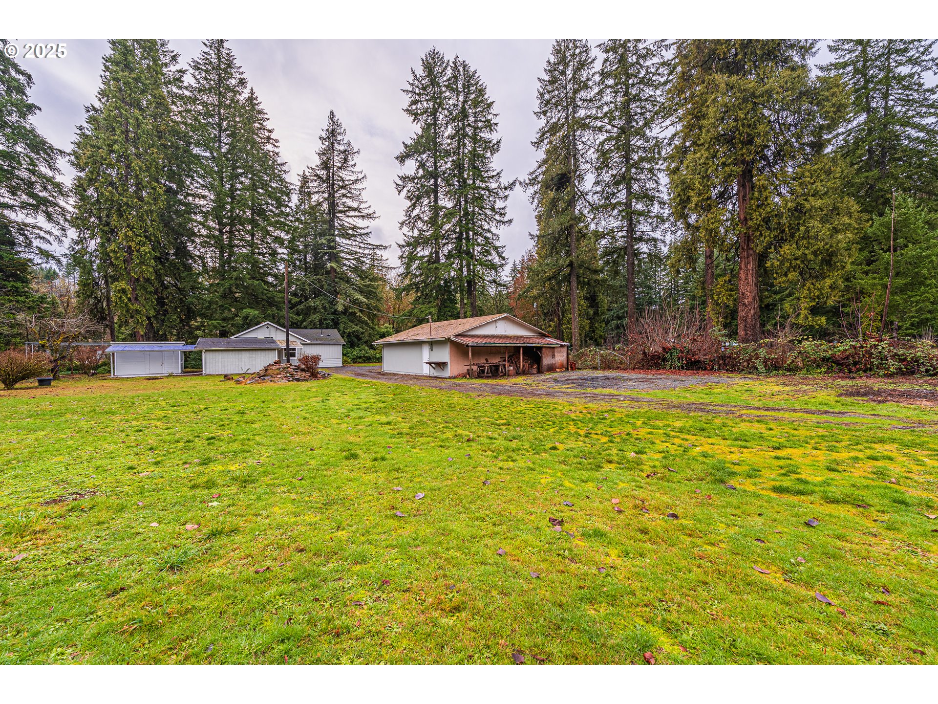 90885 Angels Flight Road Walterville, OR 97489 - Photo 26 of 30 Gallery Image 26