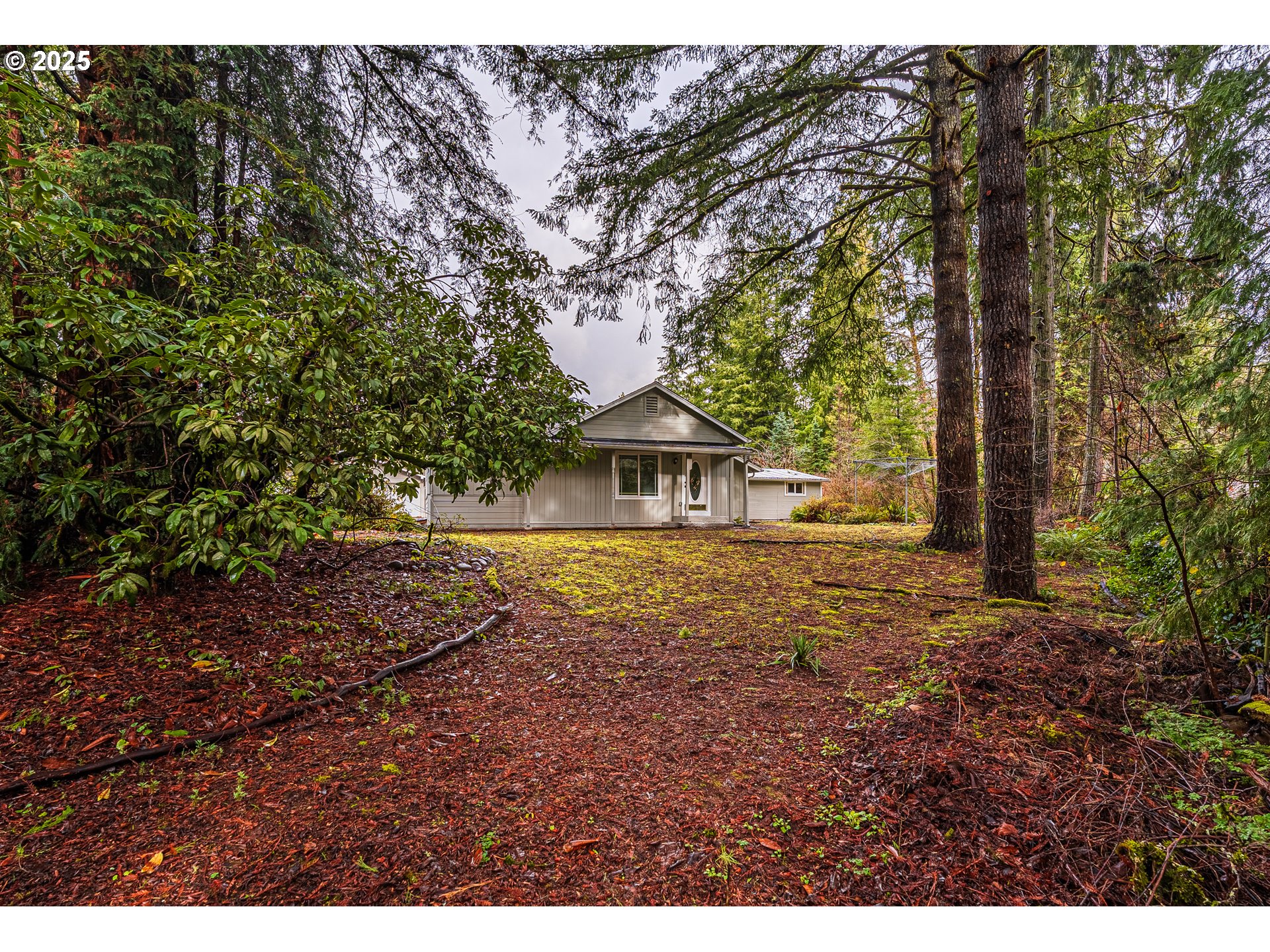 90885 Angels Flight Road Walterville, OR 97489 - Photo 29 of 30 Gallery Image 29