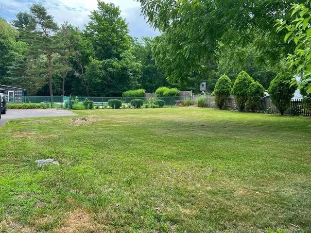 a view of a big yard with a large trees