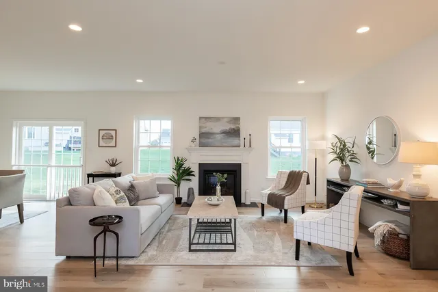 a living room with furniture a fireplace and a potted plant