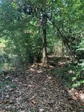 $58,000 | 0 Destin Street, Mandeville, LA 70448