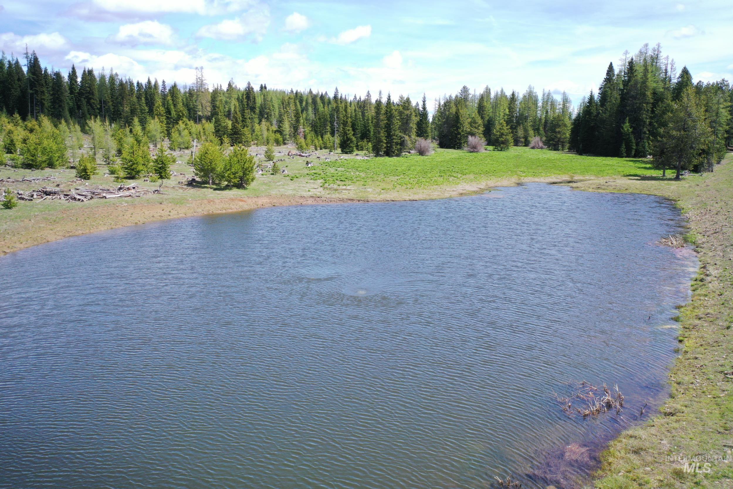 79250 Lookout Mountain Road Elgin, OR 97827 - Photo 4 of 50