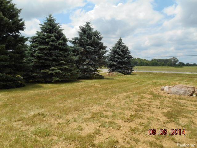 66764 Haven Ridge Road New Haven, MI 48050 - Photo 7 of 18 6.JPG