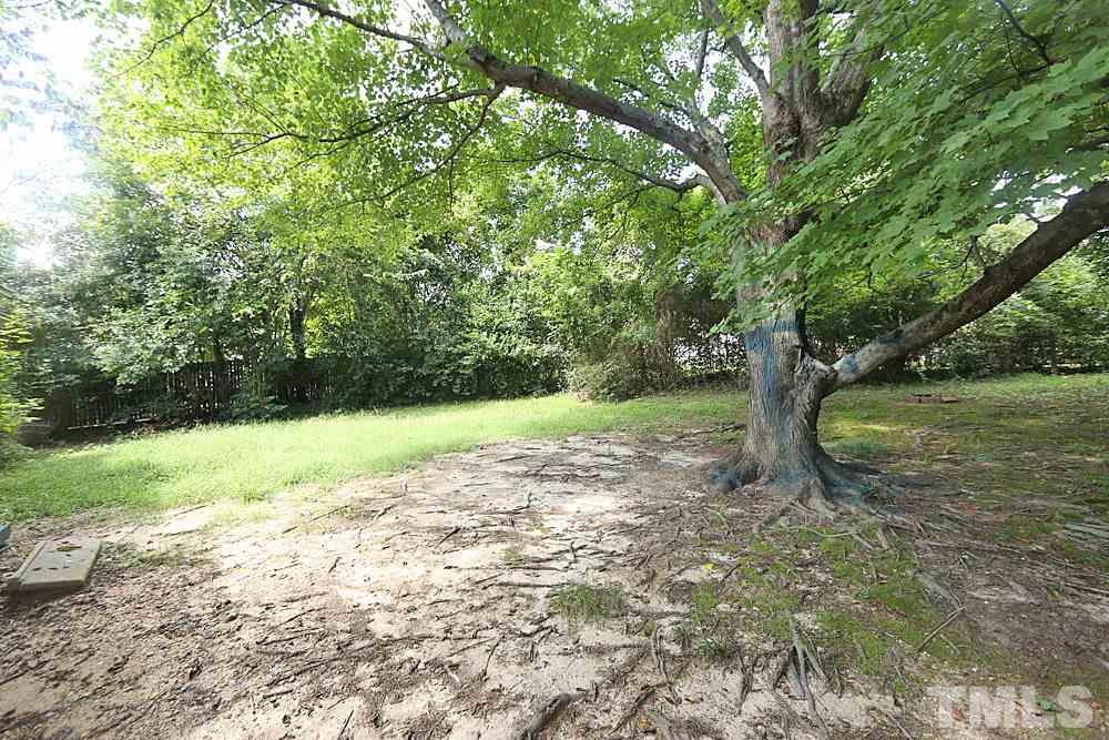 1109 North King Charles Road Raleigh, NC 27610 - Photo 12 of 13 a view of a yard with a tree