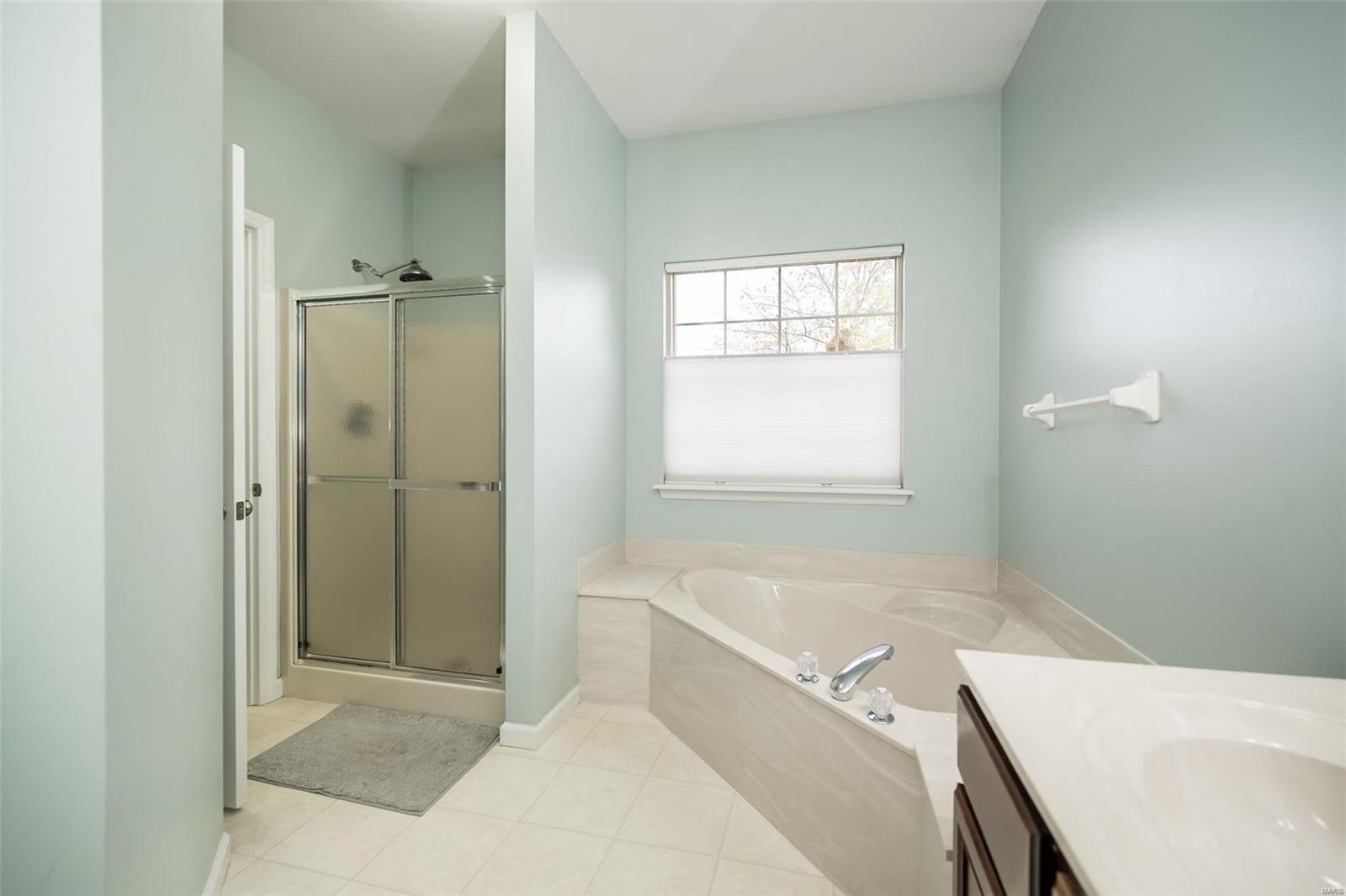 930 Sill Ridge Dr. O'Fallon, MO 63368 - Photo 31 of 62 Gallery Image 31
