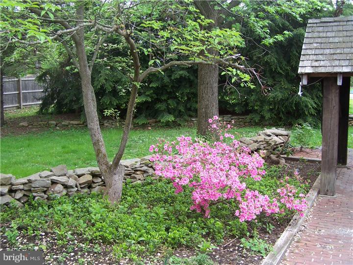 105 Pine Valley Road Doylestown, PA 18901 - Photo 14 of 19 Back Yard