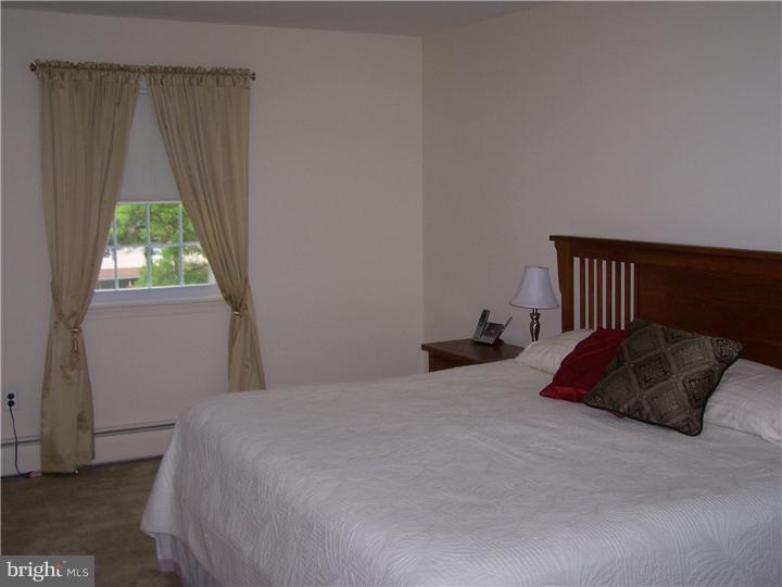 105 Pine Valley Road Doylestown, PA 18901 - Photo 7 of 19 Master Bedroom