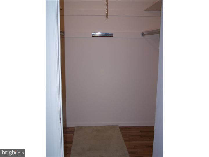 105 Pine Valley Road Doylestown, PA 18901 - Photo 8 of 19 Walk-in Closet