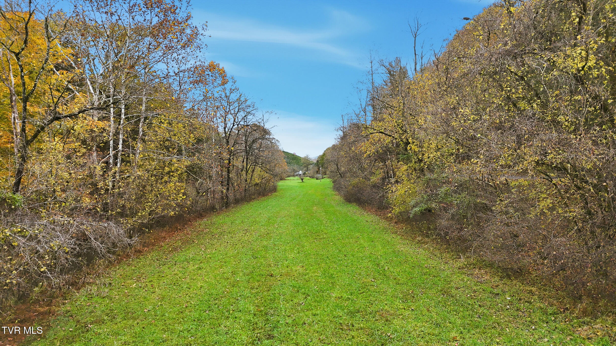 5367 Clinch Mountain Road Eidson, TN 37731 - Photo 13 of 22 dji_20251030141112_0503_d