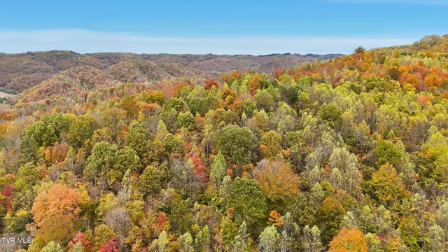 $490,000 | 5367 Clinch Mountain Road, Eidson, TN 37731