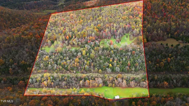 $490,000 | 5367 Clinch Mountain Road, Eidson, TN 37731