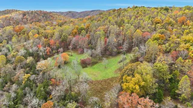 $490,000 | 5367 Clinch Mountain Road, Eidson, TN 37731
