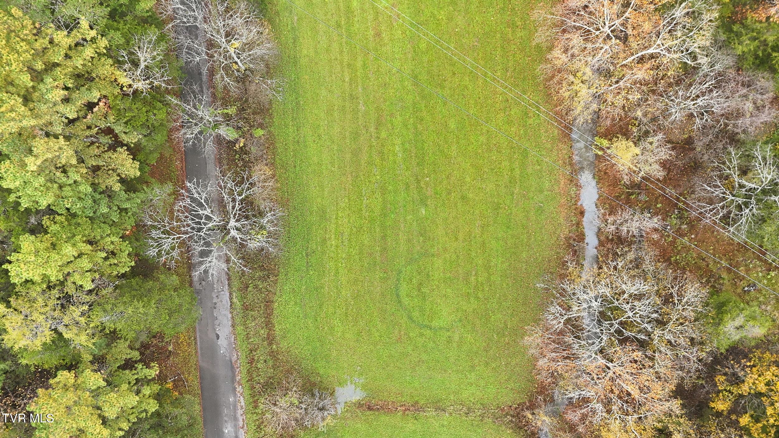 5367 Clinch Mountain Road Eidson, TN 37731 - Photo 6 of 22 dji_20251030141641_0511_d