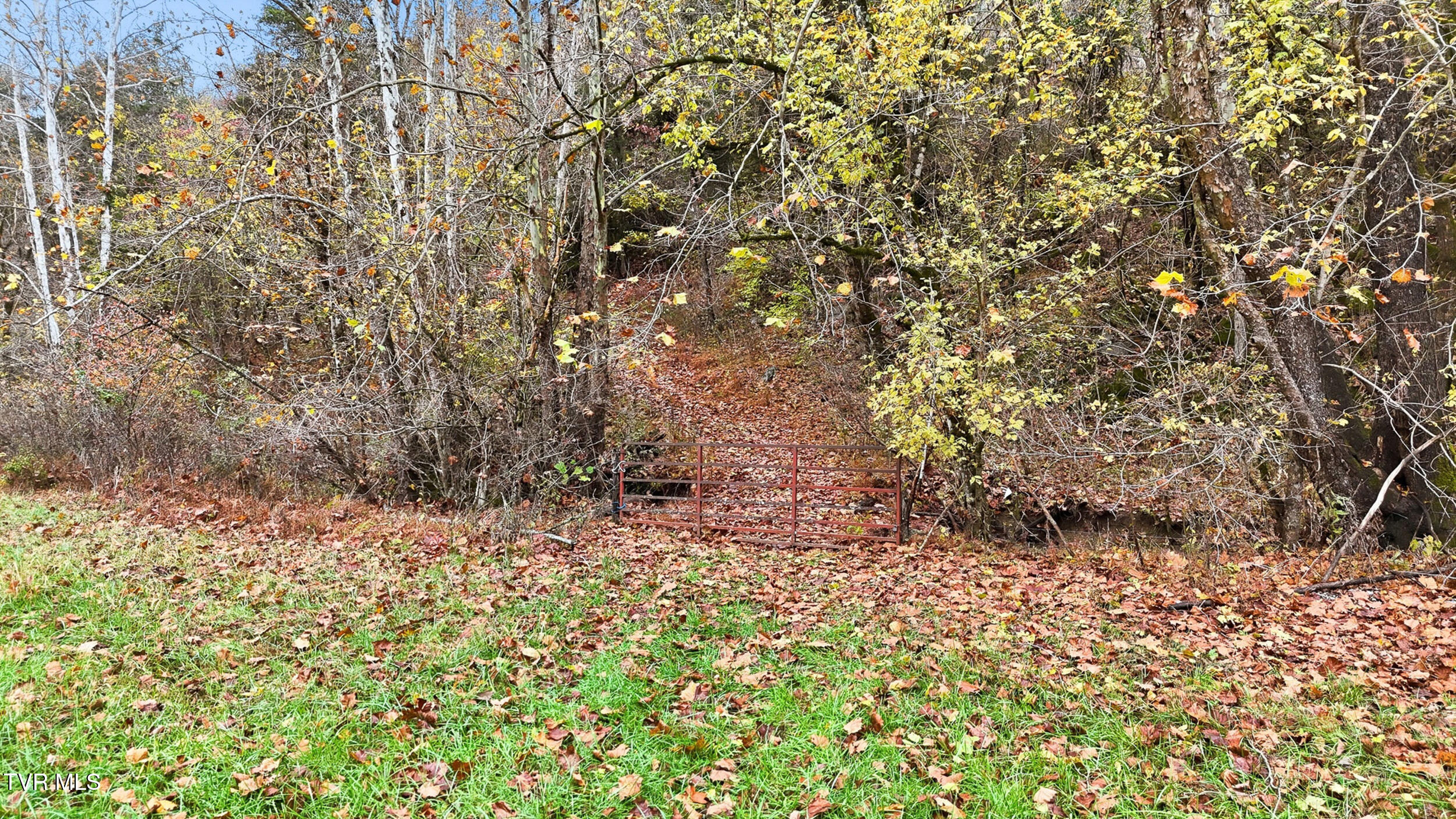 5367 Clinch Mountain Road Eidson, TN 37731 - Photo 8 of 22 dji_20251030141316_0506_d