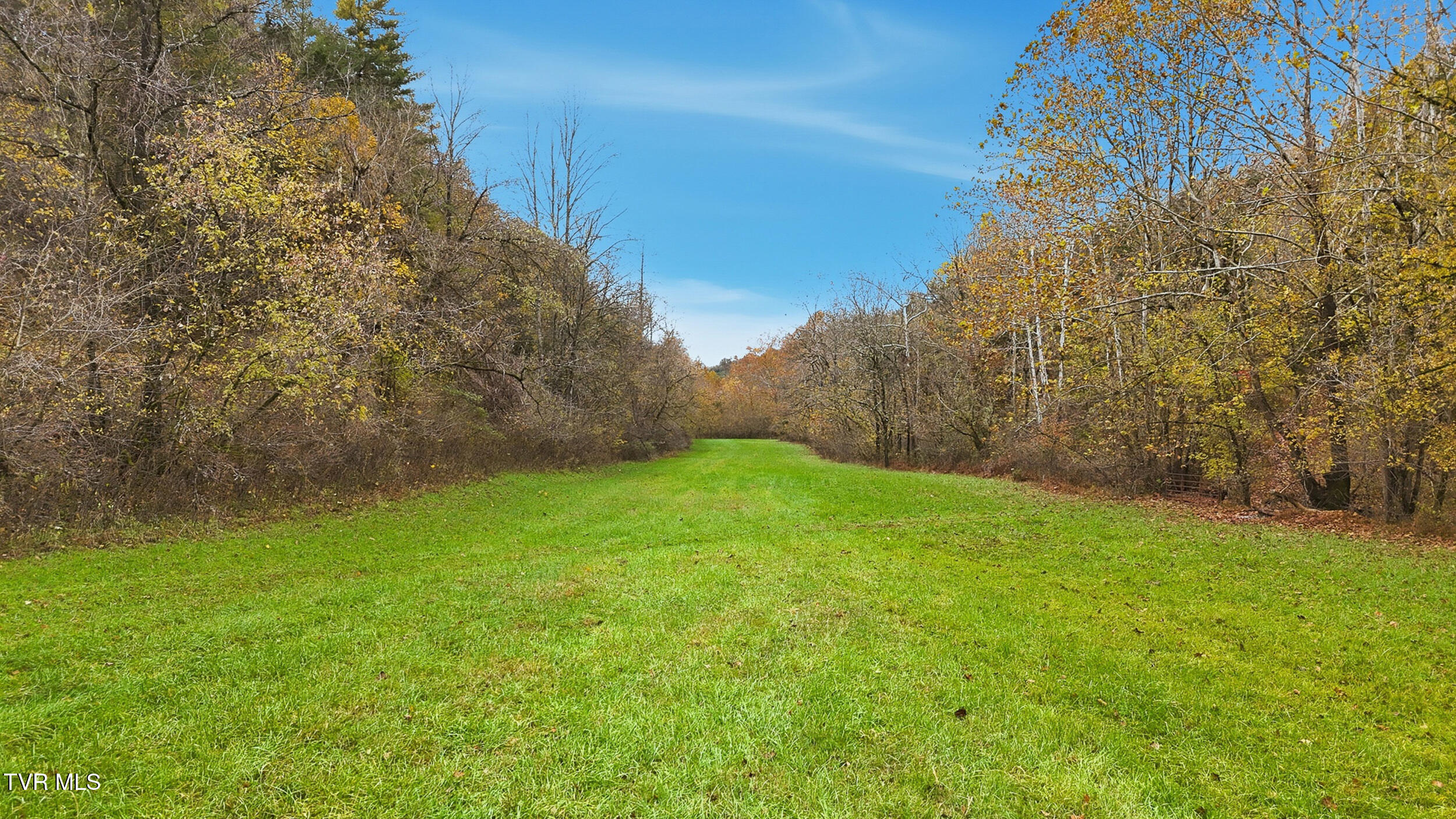 5367 Clinch Mountain Road Eidson, TN 37731 - Photo 10 of 22 dji_20251030141216_0504_d