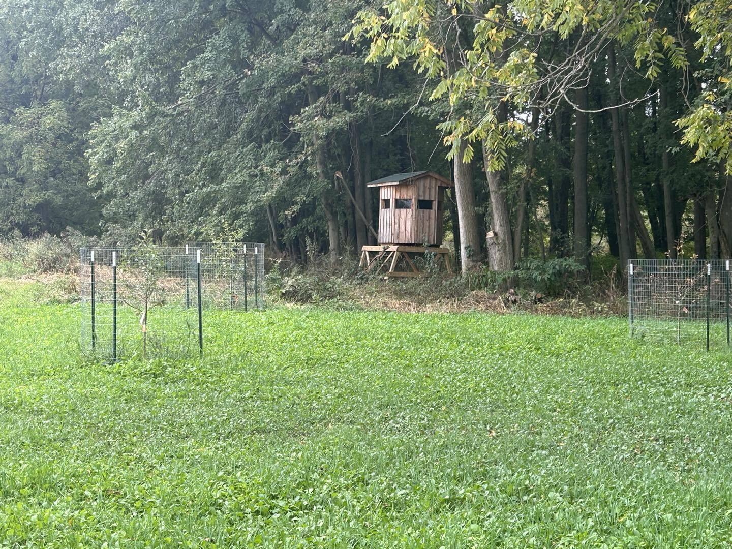 Undisclosed Address North Adams, MI 49262 - Photo 1 of 25 ss10