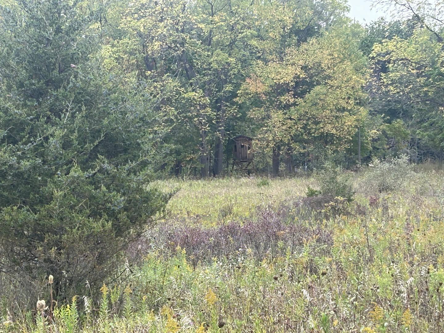 Undisclosed Address North Adams, MI 49262 - Photo 11 of 25 ss16
