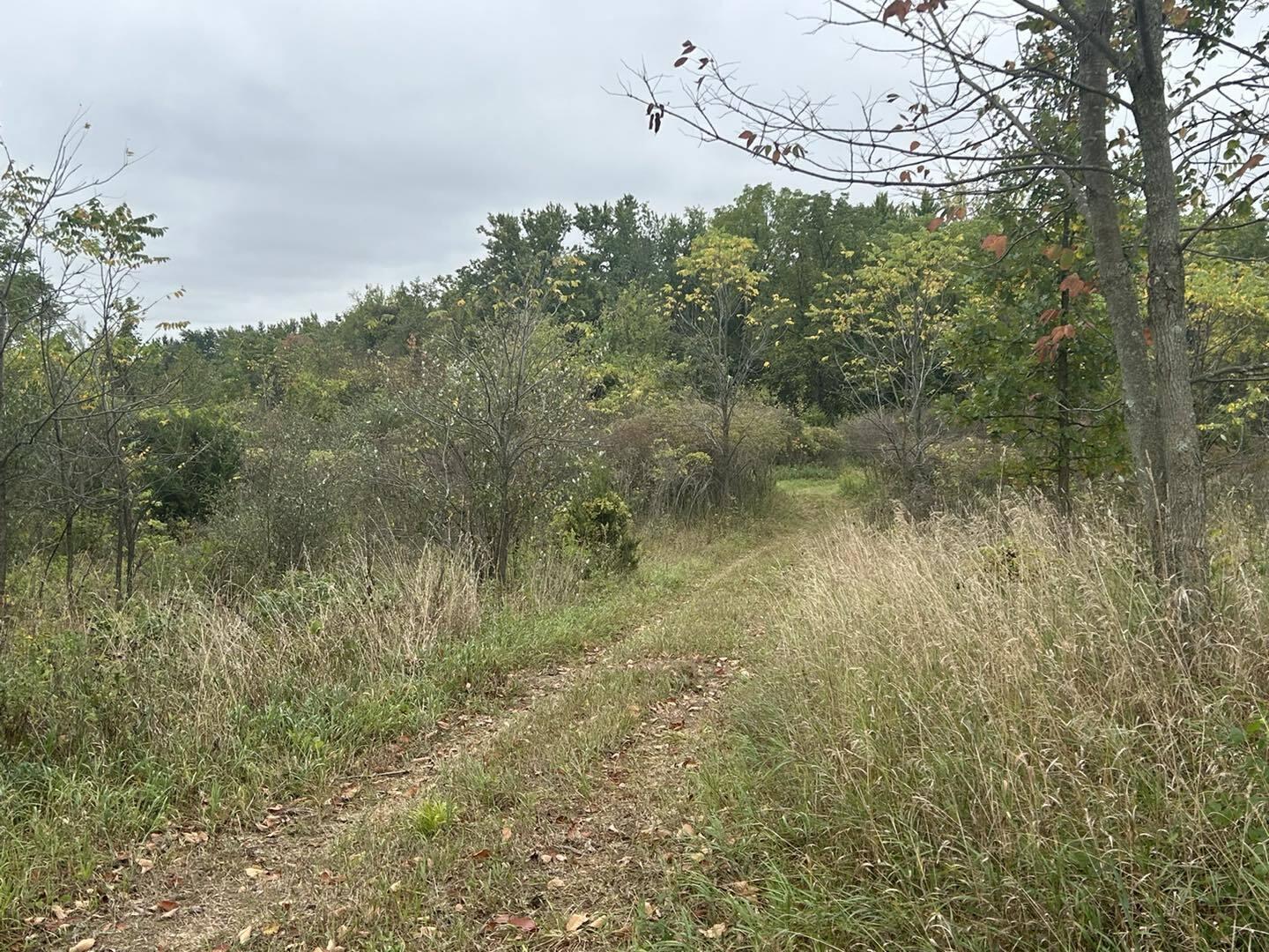 Undisclosed Address North Adams, MI 49262 - Photo 12 of 25 ss15
