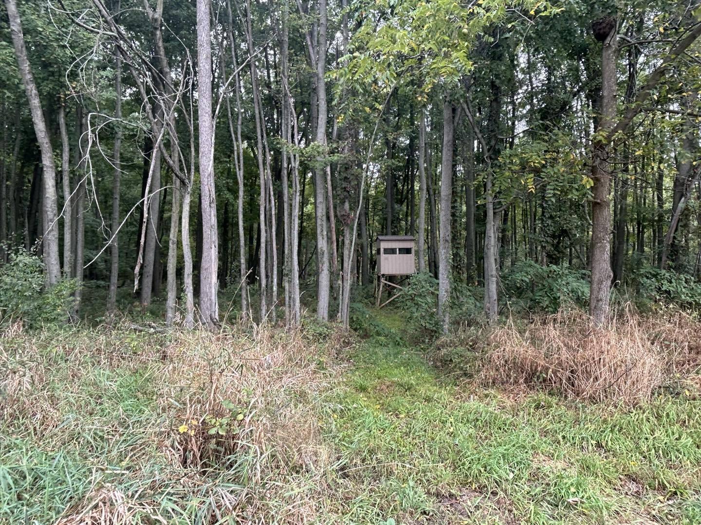 Undisclosed Address North Adams, MI 49262 - Photo 17 of 25 ss9