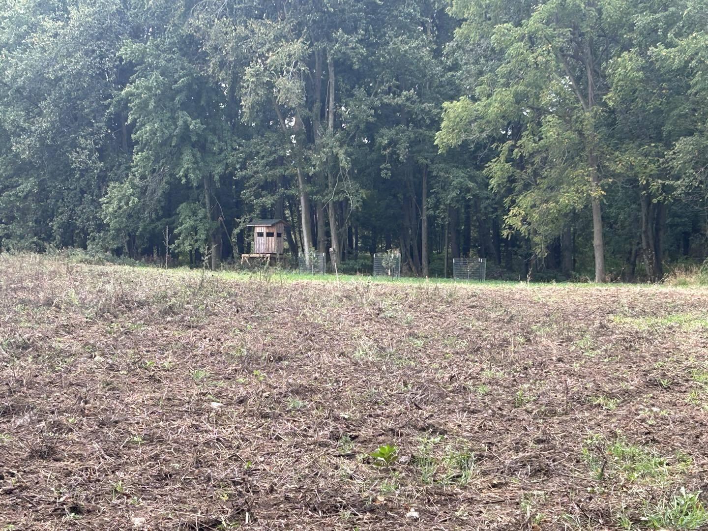 Undisclosed Address North Adams, MI 49262 - Photo 20 of 25 ss6