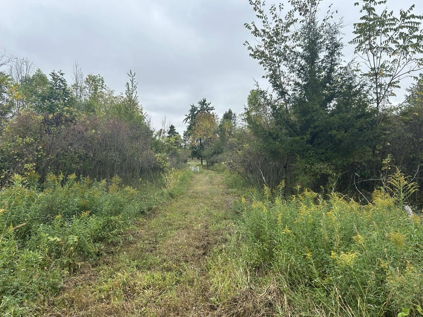 Undisclosed Address North Adams, MI 49262 - Photo 21 of 25 ss5