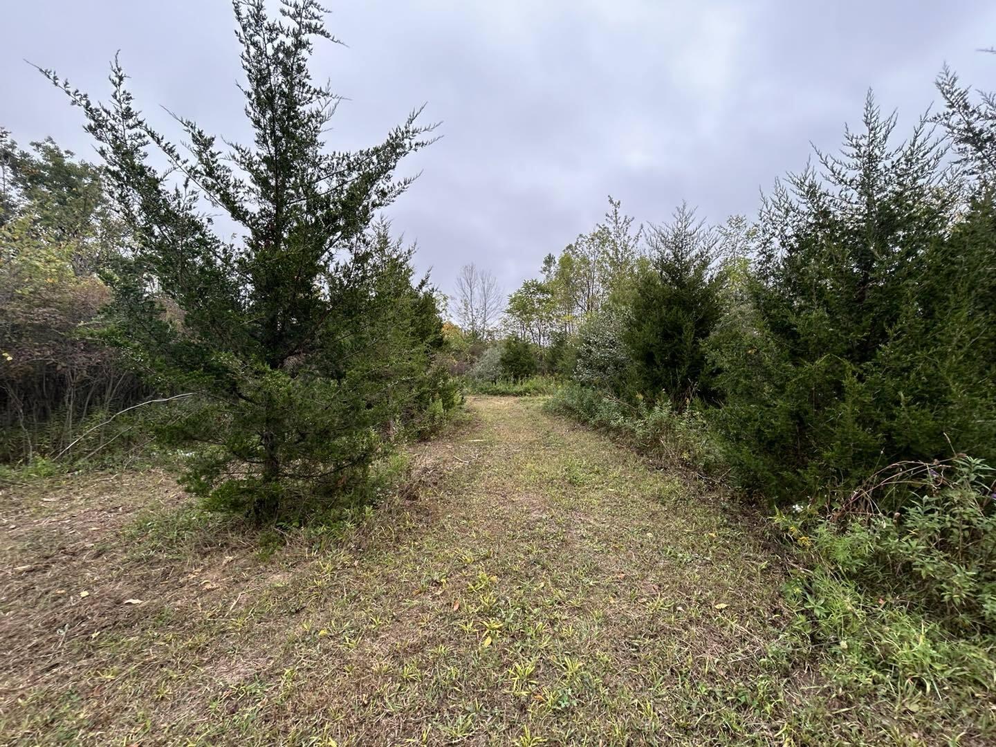 Undisclosed Address North Adams, MI 49262 - Photo 22 of 25 ss4