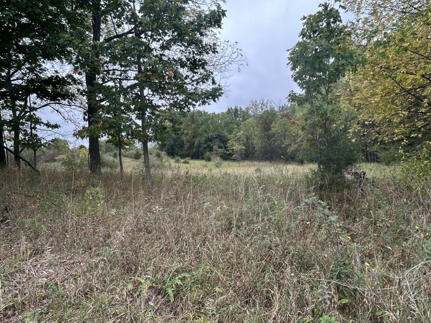 Undisclosed Address North Adams, MI 49262 - Photo 4 of 25 ss24